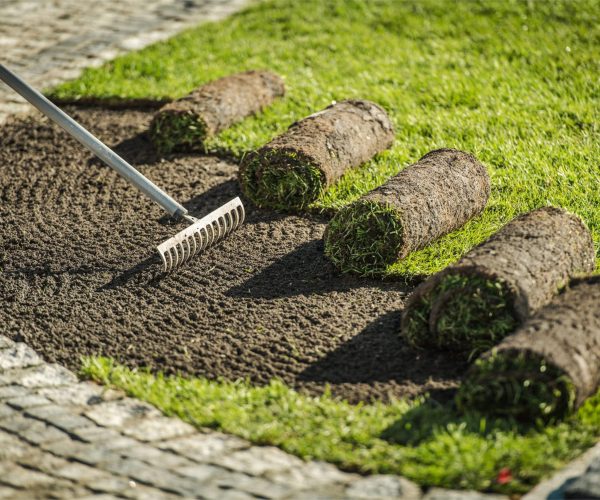 Projekt bez nazwy (2) (1)