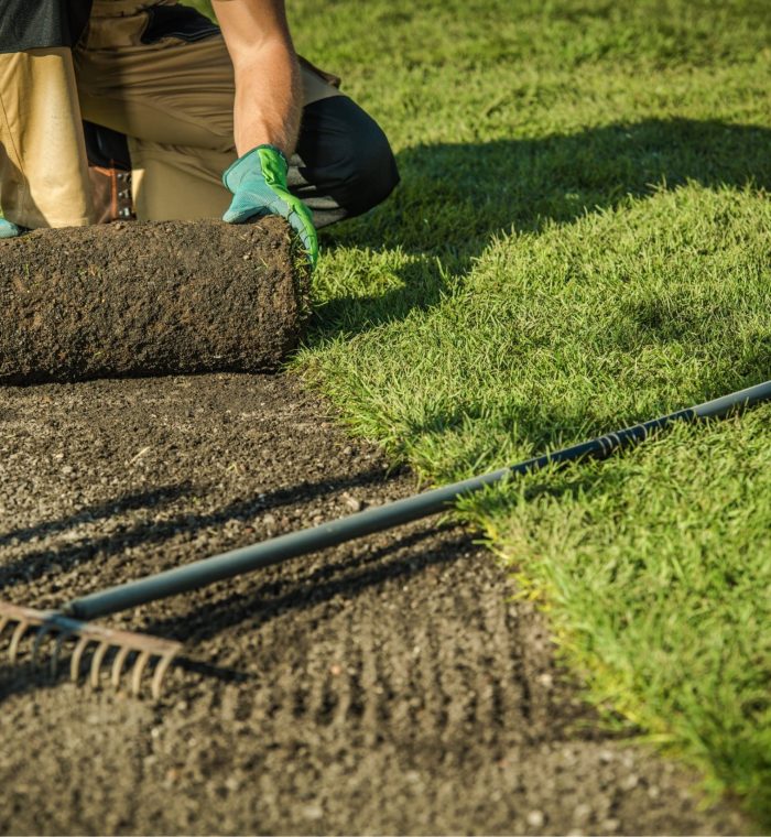 Projekt bez nazwy (3) (1)