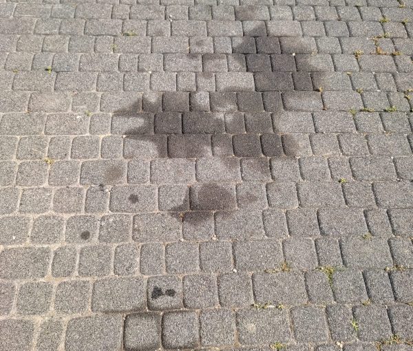 WhatsApp Image 2021-07-21 at 08.29.42 (1)