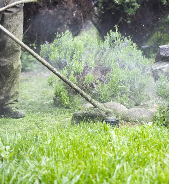 lawn-mover-on-green-grass-machine-for-cutting-law-2025-03-25-07-57-43-utc-min